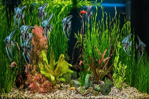 10x6.5ft Fish Tank Backdrop Aquarium Underwater Grass Leaves Aquatic Plant River Stone Bed Lake Fish Background Diving Holiday Fishing Party Decoration Photo Props Wallpaper - size: 10x6.5FT