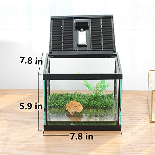 Small Glass Frog Terrarium Kit, 7.8x7.8x5.9'' for Tadpole, Amphibians, Insects Enclosure, Praying Mantis Habitat, with Green Artificial Turf Pad (excluding Animals)