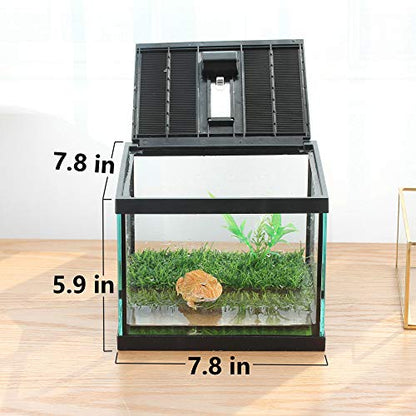 Small Glass Frog Terrarium Kit, 7.8x7.8x5.9'' for Tadpole, Amphibians, Insects Enclosure, Praying Mantis Habitat, with Green Artificial Turf Pad (excluding Animals)