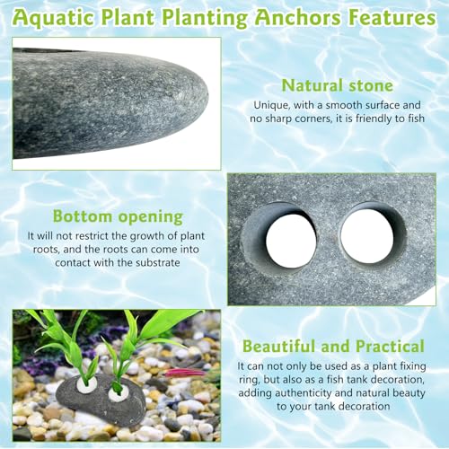 Hamiledyi Drilled Pebble Aquatic Plant Anchors Water Plants Fixed Ring Natural River Stone Plant Weights for Fish Tank Aquarium Decorations Landscape Stones(Aperture: 0.8" 2holes 6pcs)