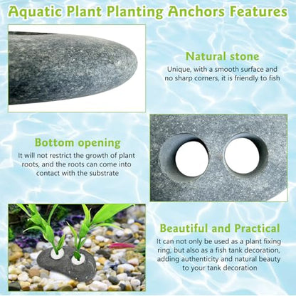 Hamiledyi Drilled Pebble Aquatic Plant Anchors Water Plants Fixed Ring Natural River Stone Plant Weights for Fish Tank Aquarium Decorations Landscape Stones(Aperture: 0.8" 2holes 6pcs)