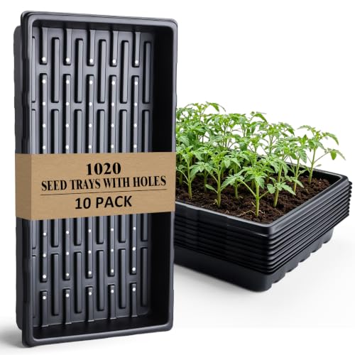 10-Pack Heavy-Duty 1020 Seed Trays with Drain Holes, Reusable Plant Flats | Durable Growing Trays, Ideal for Seed Starting, Propagation & Microgreens & Hydroponic (21" x 11", 2.36" Deep) - color: Black, size: 10p 1020 Trays with Holes