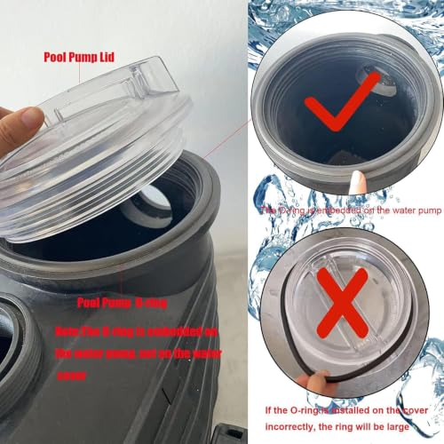 SPX3100D Thread Strainer Cover with O-Ring Gasket Replacement