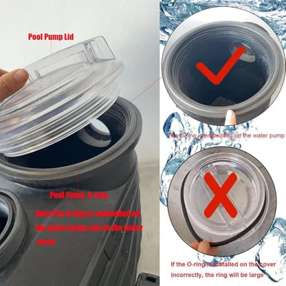 SPX3100D Thread Strainer Cover with O-Ring Gasket Replacement