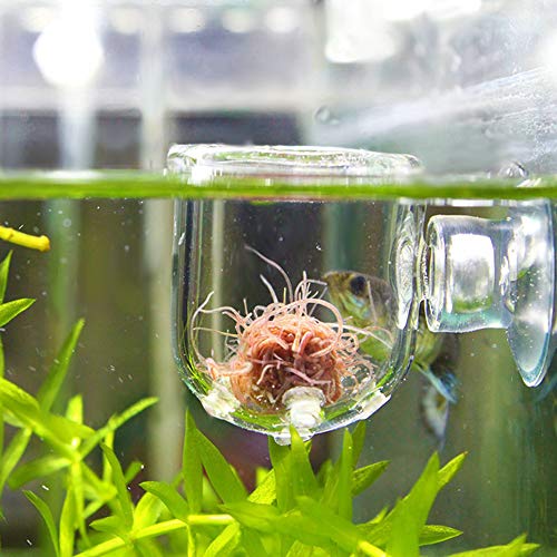 Shrimp Feeding Dish, Transparent Aquarium Feeding Dish with Strong Suction, No Mess Aquarium Glass Feeder for Feeding Shrimp, Fish and Reptiles in Tank, Glass Hole Cup