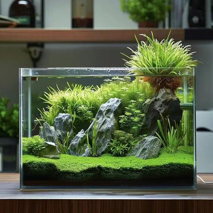 Vimvins 5 Gallon Glass Fish Tank, Easy to Maintain Small Aquarium for Betta/Goldfish/Snails/Shrimp and Aquatic Planting. - size: 5 Gallon
