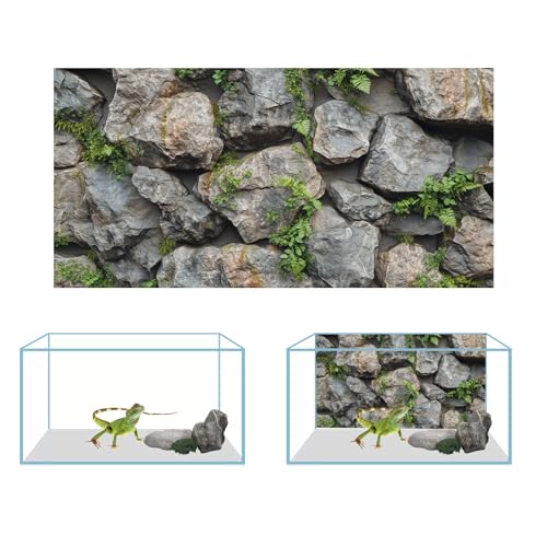 3 PCS Terrarium Background, 36x18 inch Polyester Reptile Backgrounds | Cloth Terrarium Background, Tropical Green Tree Fern & Gobi Desert Sunshine Cactus Rock Terrarium Background - size: 36x18 Inch