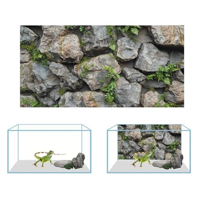 3 PCS Terrarium Background, 36x18 inch Polyester Reptile Backgrounds | Cloth Terrarium Background, Tropical Green Tree Fern & Gobi Desert Sunshine Cactus Rock Terrarium Background - size: 36x18 Inch