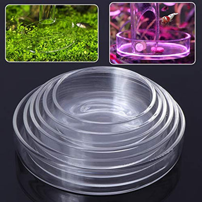 Aquarium Shrimp Feeding Dish High Clear Glass Bottom Feeders Food Bowl 3.9 3.5 3.2 2.4 Inches Round Tray