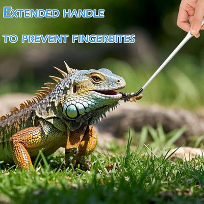 4 Pcs Reptile Feeding Tools Set with Silicone Tips - Extra Long Straight & Curved Tongs, Spoons - Stainless Steel Terrarium Feeder Kit for Bearded Dragons, Lizards, Snakes, Spiders, Aquarium