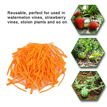100PCS Gardening Plant Fixing Clips, Gardening Fixing Vine Fixer, Watermelon Strawberry Fork Reusable, Plant Fixing Clip, Plastic Plant Fixer of Farming Fixer Tool