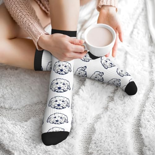 Cute Goldendoodle Unisex Funny Novelty Socks, Funky Crazy Cool Crew Dress Socks - color: Cute Goldendoodle