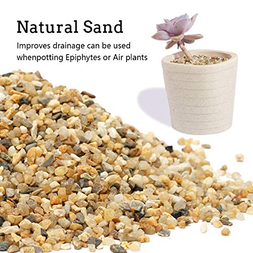 5 lb Coarse Sand Stone - Succulents and Cactus Bonsai DIY Projects Rocks, Decorative Gravel for Plants and Vases Fillers，Terrarium, Fairy Gardening, Natural Stone Top Dressing for Potted Plants. - size: 5 LB