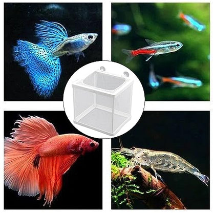 MY MIRONEY 6.3" x 5.63" x 6.22" Fish Incubator Mesh Box Pack of 2 | Aquarium Fish Breeder Box White Nylon Mesh Juvenile Fish Separation Net Fish Fry Hatchery with Suction Cups - style: 6.3" x 5.63" x 6.22"; White; without Divider