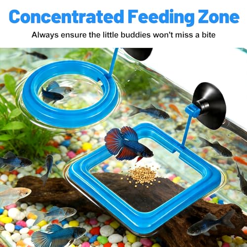 2PCS Fish Feeding Ring, EVA Aquarium Floating Plant Corral with Strong Suction Cup, 2 Sizes Fish Tank Accessories for Mini Betta Tank, Floating Plants Holder|Feeder|Corral(Round + Square)