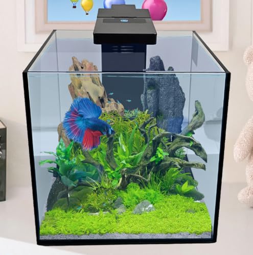 Level One Pets 3 Gallon Mini Betta, Small Fish Aquarium Kit - Includes Duo 2 in 1 Submersible Filter with LED Light - size: 3 Gallon Aquarium Kit - Includes Filter with Light