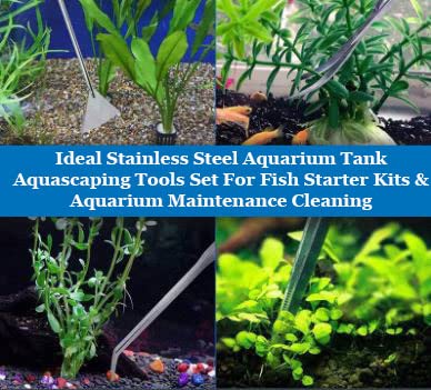 A2Z-Aquascaping Maintenance Tools Accessories,Anti-Rust Stainless Steel Tweezers Scissors Spatula for Aquarium Tank Clean, Fish Tank, Bonsai, Algae Scrapers (Set of 5 Pcs in A Case) - size: Set of 5 Pcs in A Case