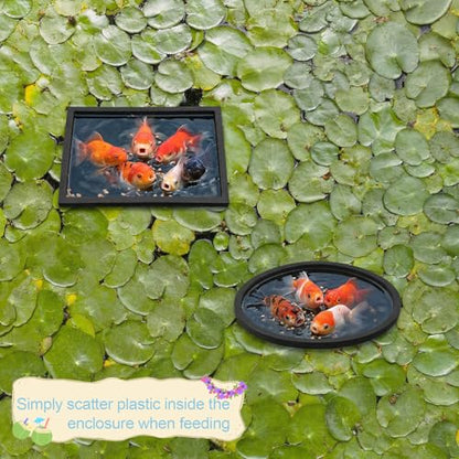 Hariendny 10 Pack Fish Feeding Ring Aquarium Floating Plant Barrier Round and Square Floating Aquarium Plant Corral Foam Fish Feeder Rings Fish-Tank Accessories for Betta Goldfish Floating-Plants