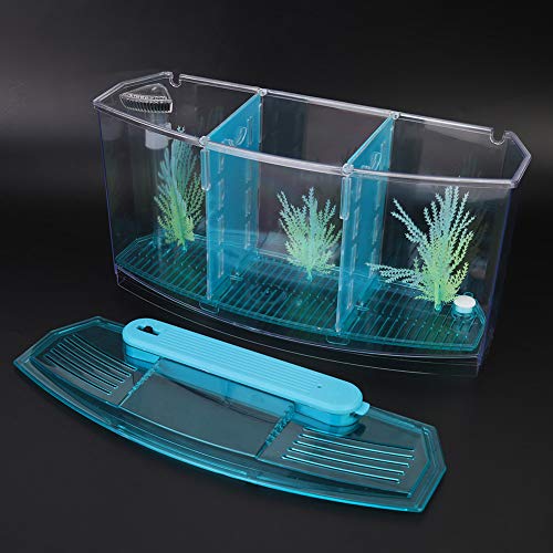 Aquarium Tank, Three Divisions LED Acrylic Fish Tank, Desktop Aquarium | Portable Fish Tank | Travel Fish Tank | Cool Fish Tank | Breeding Isolation Box Fishtank for Baby Fish