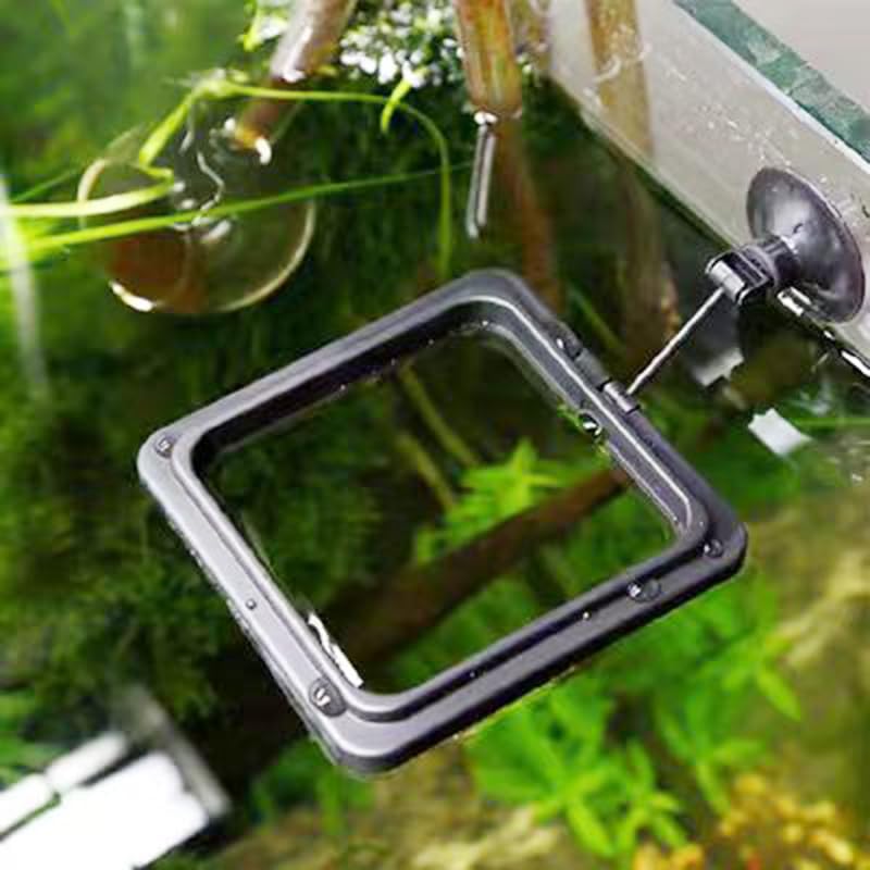 Fish Feeding Ring, Fish Safe Floating Food Feeder Circle Blue, with Suction Cup Aquarium, Square and Round Shape Fish Tank Towels - for Guppy, Betta, Goldfish, Etc (1 Square) - color: Black Square