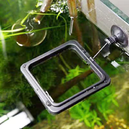 Fish Feeding Ring, Fish Safe Floating Food Feeder Circle Blue, with Suction Cup Aquarium, Square and Round Shape Fish Tank Towels - for Guppy, Betta, Goldfish, Etc (1 Square) - color: Black Square