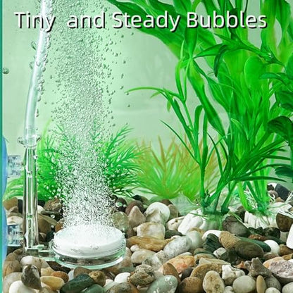 AQUANEAT Aquarium Air Stone Disc, 1.4 Inch Nano Bubble Stone Kit Quiet Dissolved Oxygen Diffuser with Accessories tubing and valves for Small Fish Tank - size: 1.4 inch