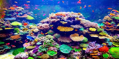 48X18 Inch Underwater World Aquarium Backdrop - Vibrant Coral Reef Tropical Fish Tank Background Vinyl Ocean Theme Decor - size: 48X18in