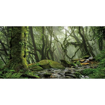 30x18 in Terrarium Backdrop Foggy Forest Stream Reptile Habitat Background | AWERT Tropical Rainforest Green Mossy Huge Tree Polyester Aquarium Terrarium Background - size: 30x18in/75x45cm