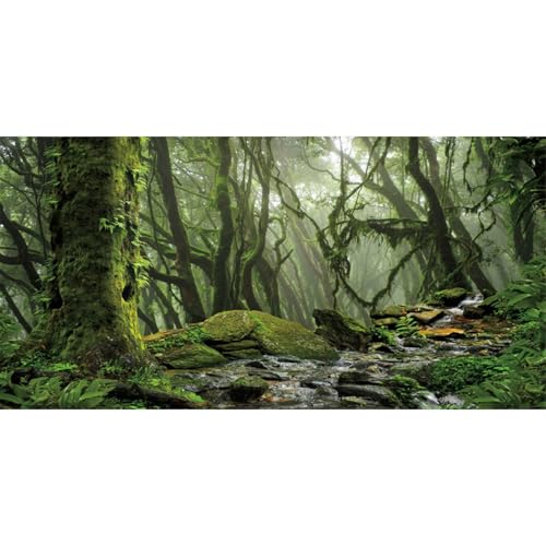 AWERT Foggy Forest Terrarium Background Stream Green Huge Tree Reptile Habitat Tropical Rainforest Aquarium 24x16 inches, 24x16in 60x40cm - size: 24x16in/60x40cm