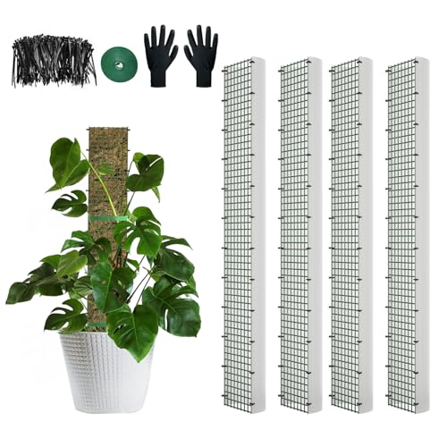 60"/40"/24" Metal Moss Pole, D Shape Sphagnum Moss Pole, Moss Poles for Climbing Plants, Monstera, Indoor Climbing Plants(4Pcs 40") - style: 4Pcs 40"