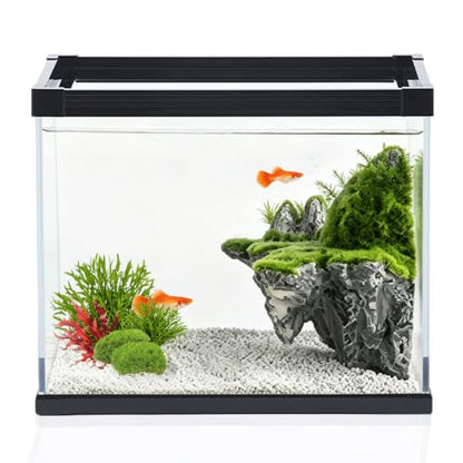 Ultra Clear Glass Aquarium Thickened Large Fish Tank -Suitable for High-end Fish Enthusiasts (5.5 Gallon, Tank) - size: 5.5 Gallon
