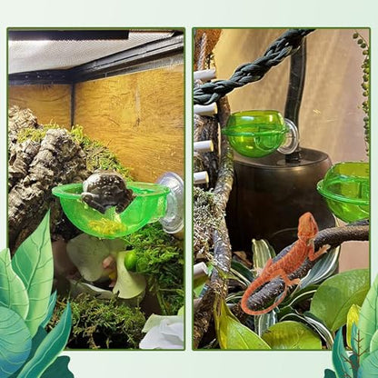 Reptile Bowl with Suction Cup,Chameleon Feeding Bowl,Gecko Food and Water Feeding Dish Pet Feeder Supplies Accessories for Lizards,Snakes,Bearded and Dragons(4 Pcs) - size: 【4 PCS】