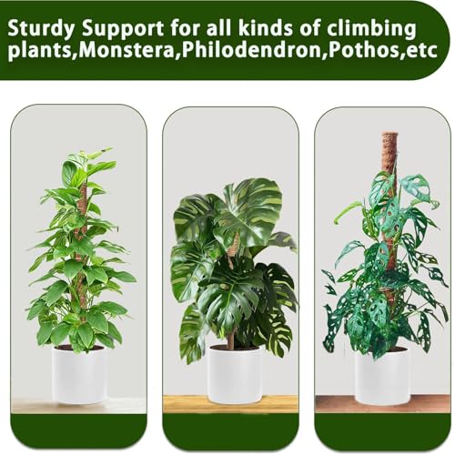 Moss Pole, 4Pack 21 Inch Plant Support Stakes for Indoor Plants, Monstera Plant Support Stakes, 69 Inch Tall Coir Plant Pole Sticks for Potted Plants, Pothos, Philodendron, Climbing Plants Accessories - size: 4pcs x 21 Inches