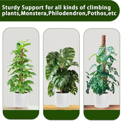 Moss Pole, 4Pack 21 Inch Plant Support Stakes for Indoor Plants, Monstera Plant Support Stakes, 69 Inch Tall Coir Plant Pole Sticks for Potted Plants, Pothos, Philodendron, Climbing Plants Accessories - size: 4pcs x 21 Inches