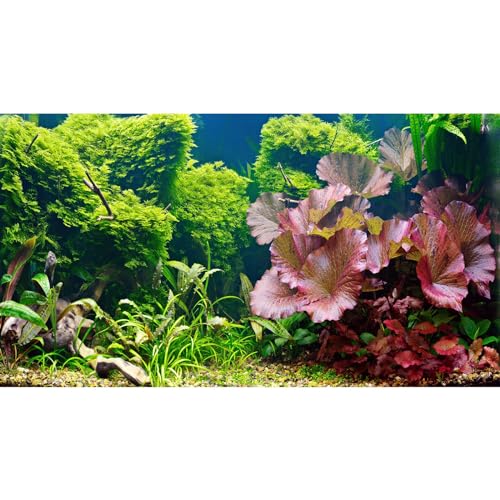 Aquarium Background Underwater Grass Leaves Pebble Aquarium Backdrop Vivid and Fresh Green Aquatic Plant Background Stone River Bed DeadWood Purple Leaves Tank Background Decor Vinyl 24x12in - color: Green Purple, size: 24(W)x12(H)inches/ 60(W)*30cm(H)