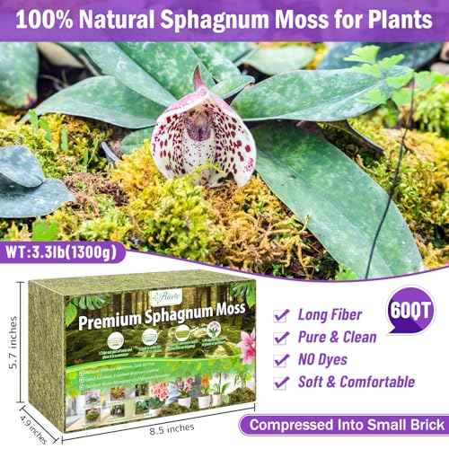 Riare 3.3LB Premium Sphagnum Moss for Plants- 60QT Natural Dried Plant Moss - size: 60 QT(Appx.3.3lbs)