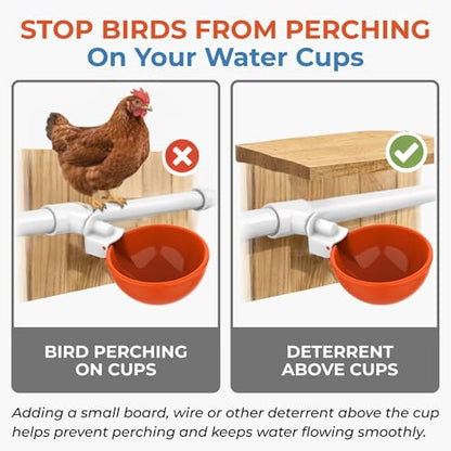 Lil'Clucker Large Automatic Chicken Waterer Cups with 1/2" PVC Tee Fittings - Chicken Water Cups, Chicken Water Feeder, for Chicks, Duck, Goose, Turkey - Poultry Waterer Feeder Kit (Orange, 8-Pack) - size: 8-Pack