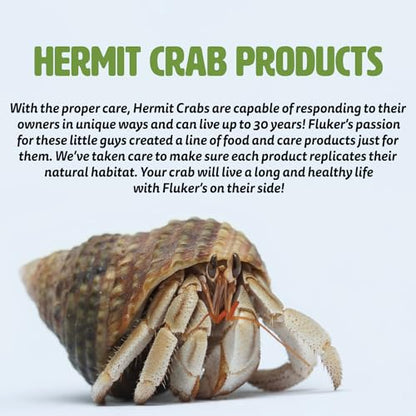 Fluker's Rock Bowl, Food & Water Dish for Hermit Crabs, Medium 6" (Pack of 2) - size: Medium (Pack of 2)