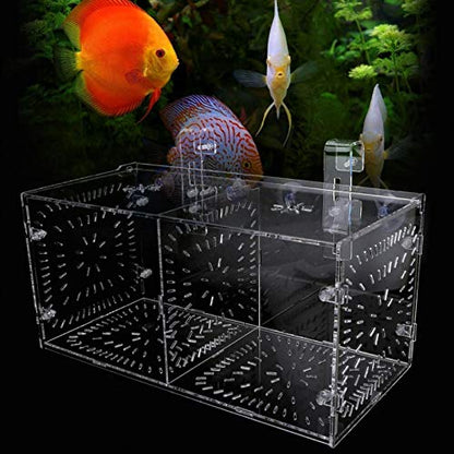 Fish Isolation Breeding Box Acrylic Incubator Floating Aquarium Hatchery Breeding and Parenting Box for Fish Aquarium(30CM*15CM*15CM)