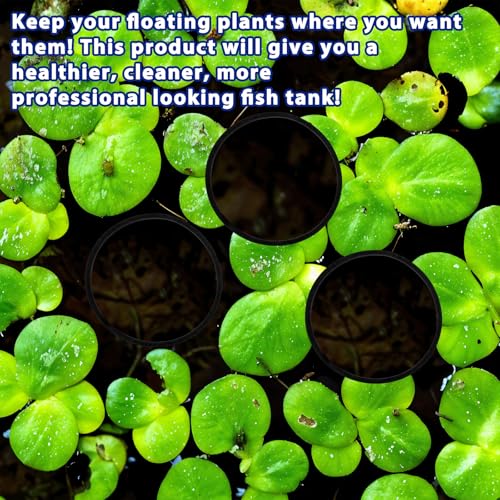 5 Pcs Fish Feeding Ring,Aquarium Floating Plant Rings Aquarium Floating Plant Barrier Foam Floating Plant Corral Aquarium Feeding Ring Round Feeding Ring for Fish Tank,Black