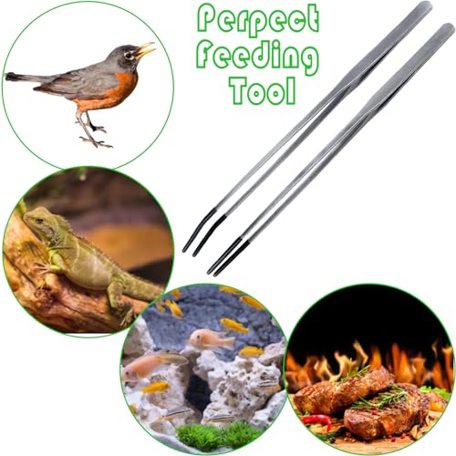 2Pcs Reptile Feeding Tong with Rubber Tip Aquarium Tweezers Stainless Steel Straight Curved Feeding Tong Long Handle Terrarium Feeder Tool for Tank Lizards Bearded Dragon Spider Snake (Silver, 15Inch) - size: 15Inch
