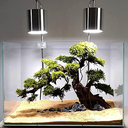 Allcolor Artisan Grade Ultra Clear Rimless Aquarium Tank (10GaI) | Low Iron Glass Fish Tank for Professional Aquascaping and Planted Layouts, 6-60 Gallons (10GaI - Top Glass Canopy) - size: 10Gal 18.8"L×11"W×11.8"H