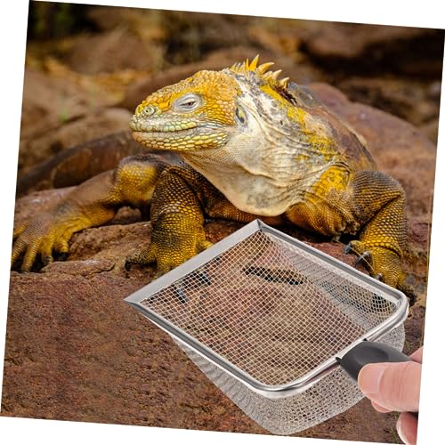 TOYANDONA 2pcs Portable Stainless Steel Reptile Shovels for Easy Substrate Cleanup Durable Household Scoopers for Tortoise Lizard and Scorpion Care
