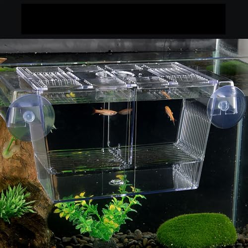 1/2 Fish Acclimation Box - Acrylic Hatchery Incubator Tank, Fish Breeder Box with 2 Suction Cups | Easily Install Breeding Isolation Box, Floating Breeding Box for Baby Fishes Shrimp Betta Guppy - size: Large