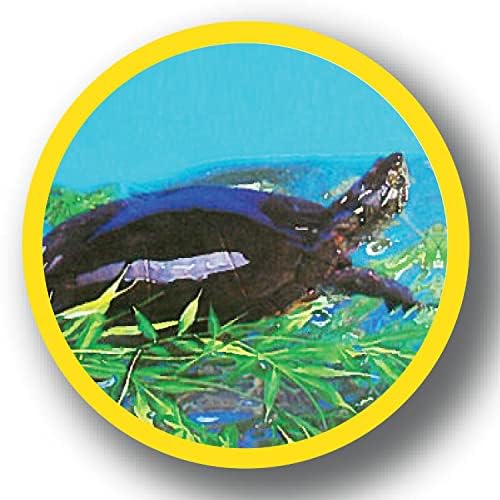 Marineland Bamboo 3 Feet, Décor For Aquariums and Terrariums