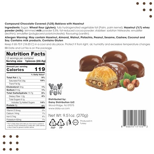 Baklava Pastry with Hazelnut | Chocolatey Coated Turkish Baklava | 9.51 oz (270 g) | Baklava Chocolate Gift Box, Premium Halal Snack, Elegant Ramadan & Eid Gift | Perfect for Parties, Family Gatherings, Corporate Events, or Festive Celebrations (Hazelnut)