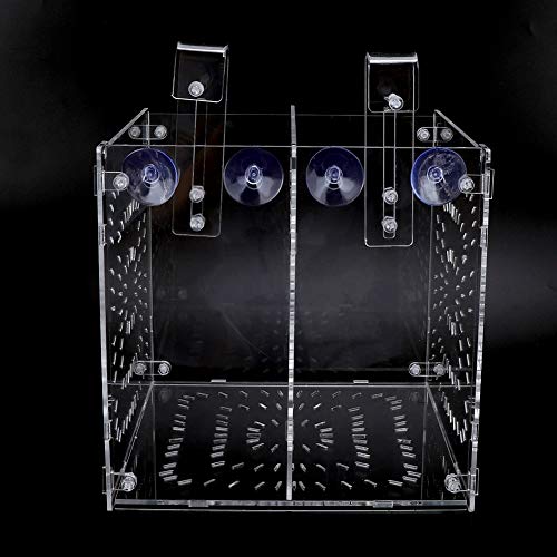 Acrylic Fish Breeding Box 20x20x20cm Mesh Rearing Trap for Baby Shrimp Clownfish Guppy, Isolation Board Prevents Adult Attack, Adjustable Suction Cup Fixation for Aquarium Hatchery (20MC - size: 20MC *20CM*20CM