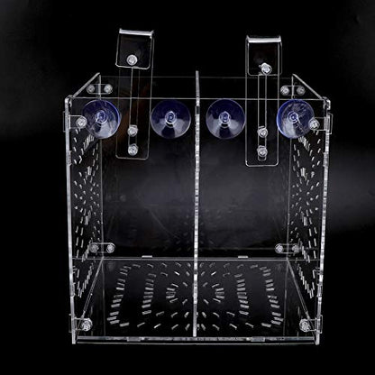 Acrylic Fish Breeding Box 20x20x20cm Mesh Rearing Trap for Baby Shrimp Clownfish Guppy, Isolation Board Prevents Adult Attack, Adjustable Suction Cup Fixation for Aquarium Hatchery (20MC - size: 20MC *20CM*20CM