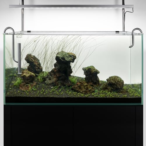 LINLAN 304 Stainless Steel Lily Pipe Inflow and Outflow with Mini Aluminum Alloy Pipe Holder, 360° Rotatable Outflow, Fits 1/2 Inch ID Filter Hose, for Rimless Aquariums (12mm-with Skimmer)