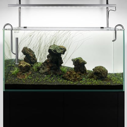LINLAN 304 Stainless Steel Lily Pipe Inflow and Outflow with Mini Aluminum Alloy Pipe Holder, 360° Rotatable Outflow, Fits 1/2 Inch ID Filter Hose, for Rimless Aquariums (12mm-with Skimmer)